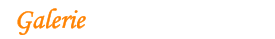 Galerie
